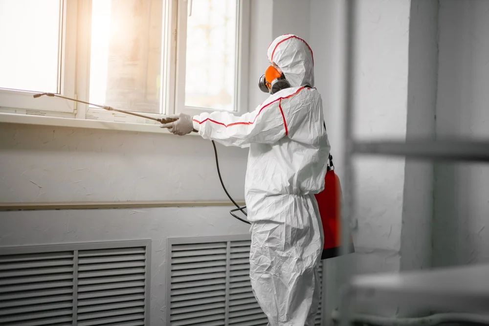Professional mold remediation services in Palmdale, FL